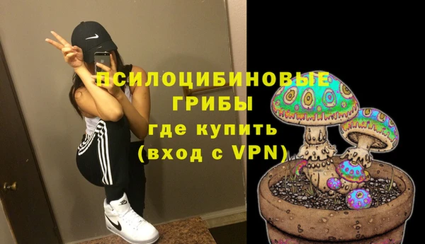 спиды Алзамай